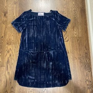 Anthropology Floreat crushed velvet dress EUC